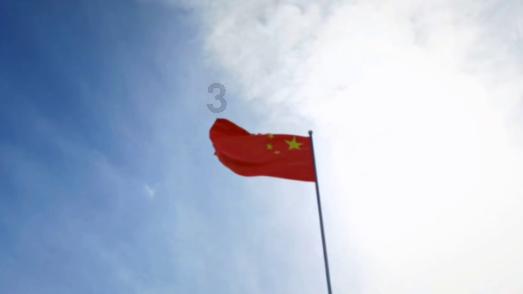 可怜猫的救援
