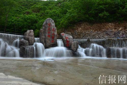 金毛能吃什么水果游戏画面